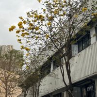 WhatsApp Image 2026-02-26 at 11.04.02 (1)